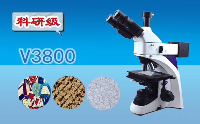 1685503902891839.png 1685503902891839.png